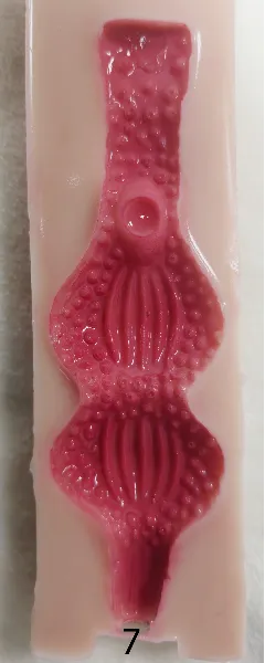 #7(14.5cm)